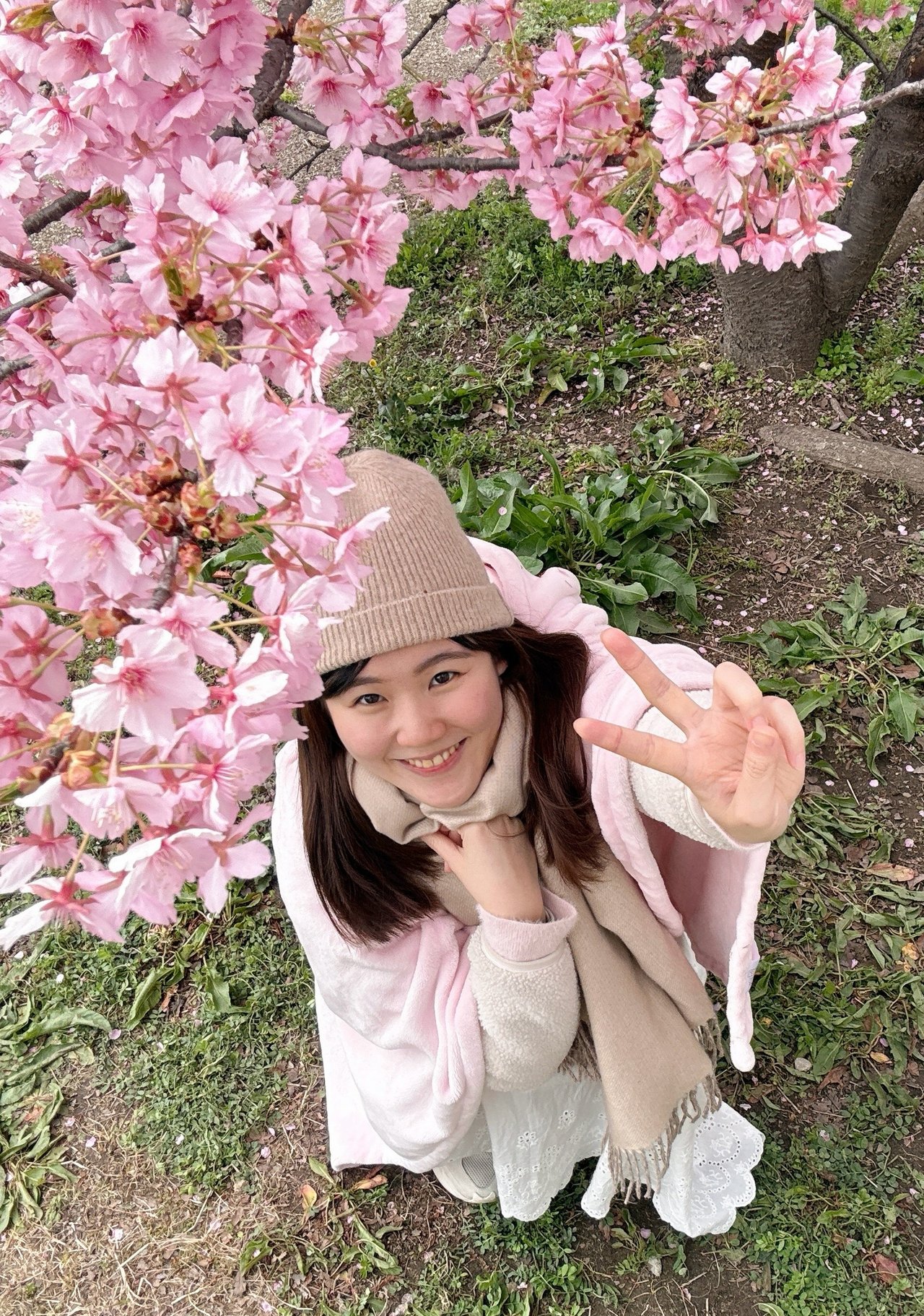 董O恩 優異考取 公職上榜學員頭像